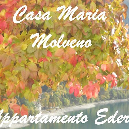 Casa Maria Lägenhet Molveno Rum bild