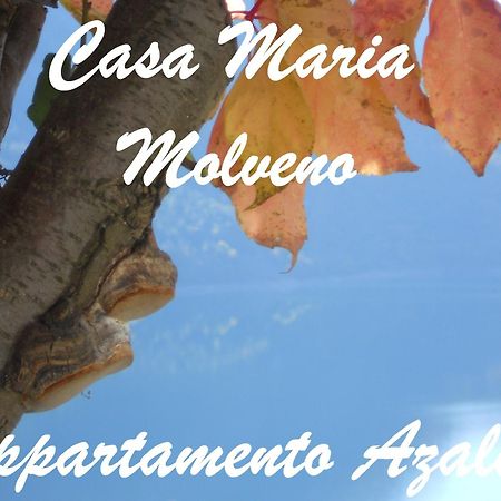 Casa Maria Lägenhet Molveno Rum bild
