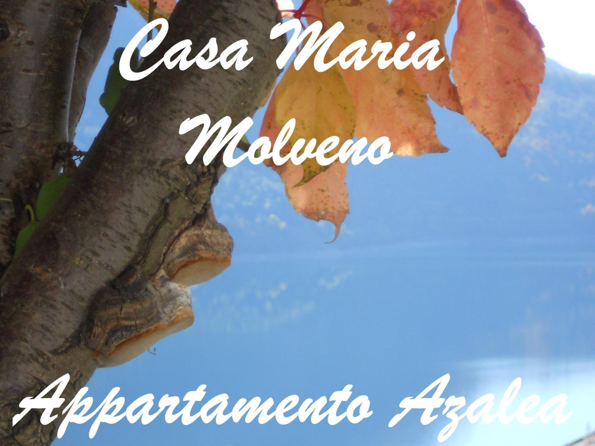 Casa Maria Lägenhet Molveno Rum bild