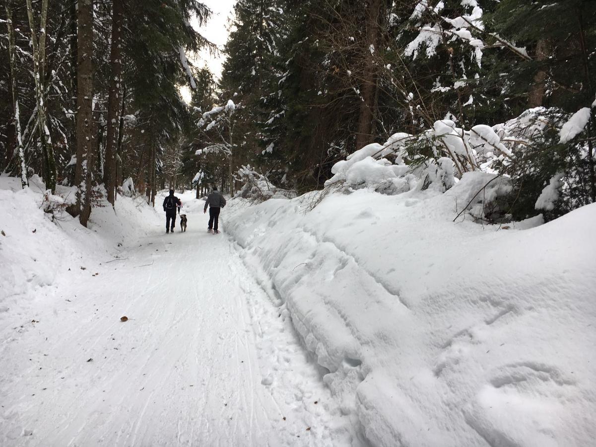 Casa Maria Lägenhet Molveno Exteriör bild